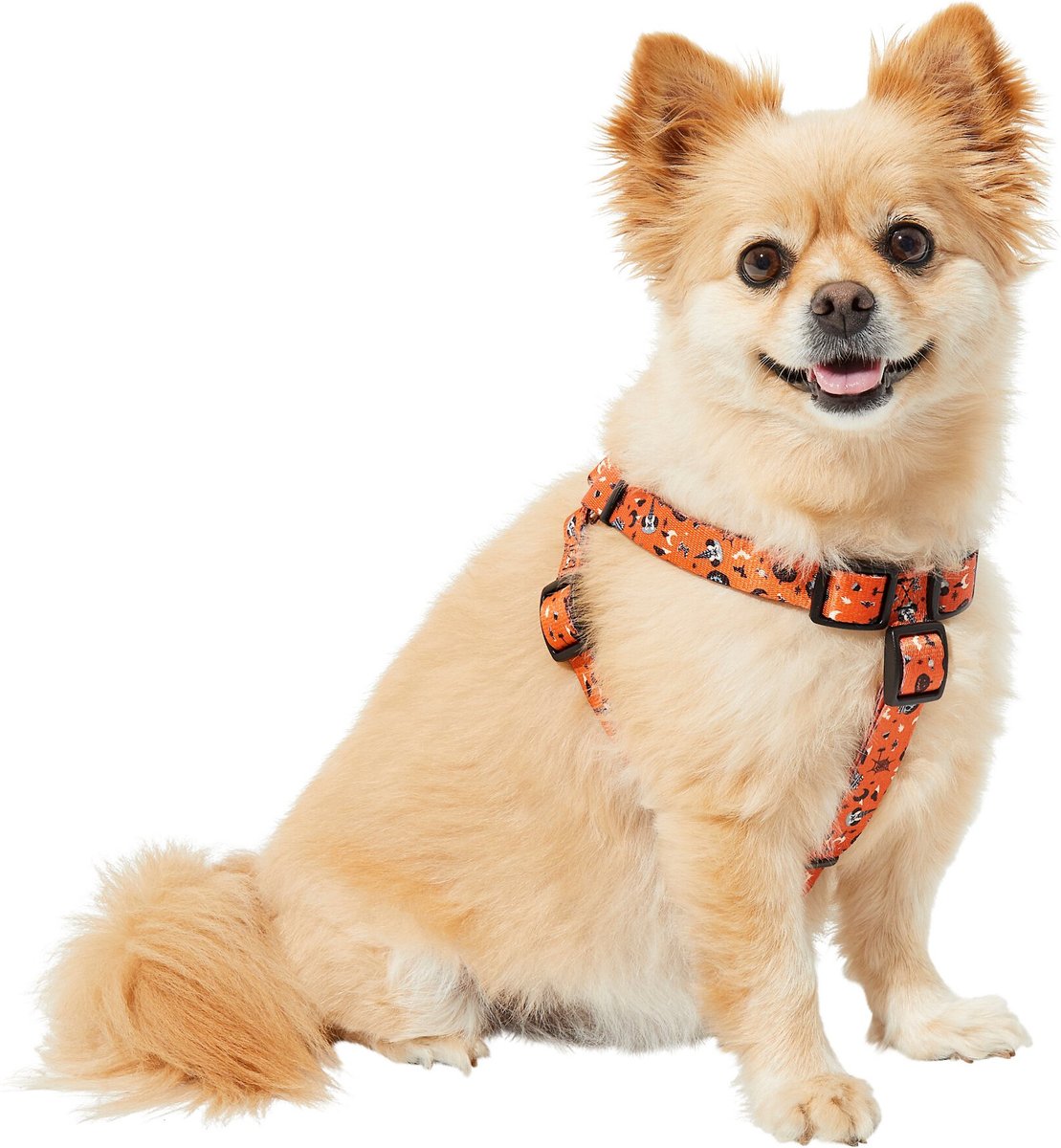 Halloween clearance dog harness