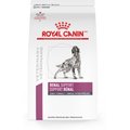 Royal Canin Veterinary Diet Renal Support Early Consult Dry Dog Food, 17.6-lb bag