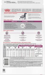 Royal Canin Veterinary Diet Renal Support Early Consult Dry Dog Food, 17.6-lb bag slide 2 of 8