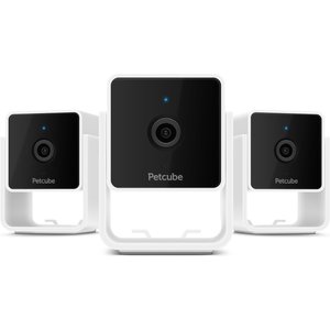 Petcube Cam HD Monitoring With Vet Chat Pet Camera, 3 count