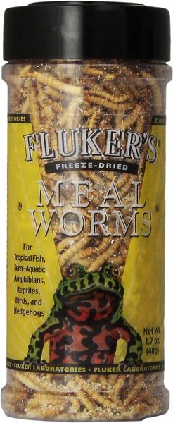 Fluker's Freeze-Dried Mealworm Treats, 1.7-oz jar, bundle of 3 slide 1 of 4