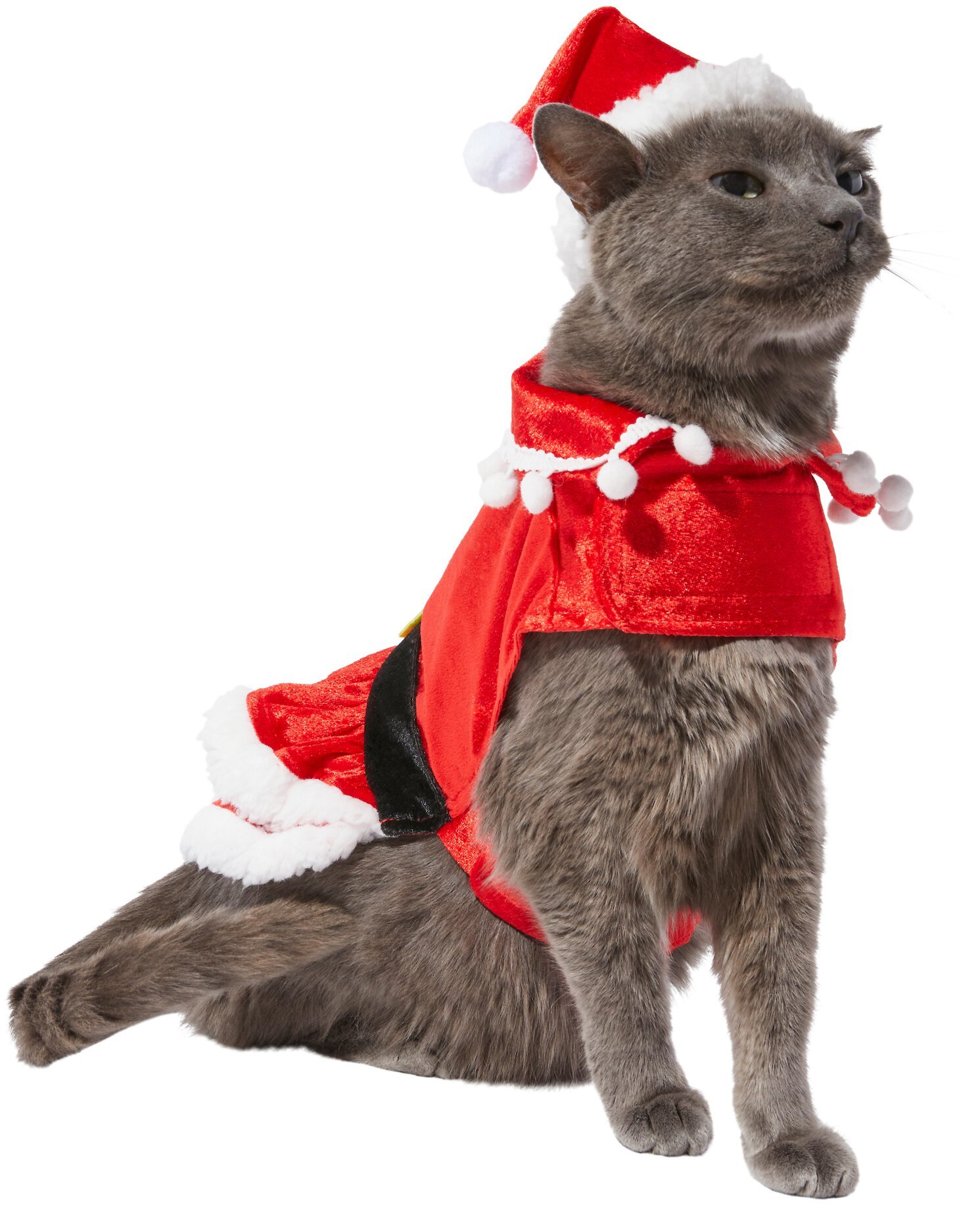 FRISCO Mrs. Claus Dog & Cat Costume Customer Questions - Chewy.com