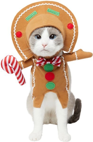 Frisco Front Walking Gingerbread Dog & Cat Costume, Small slide 1 of 10