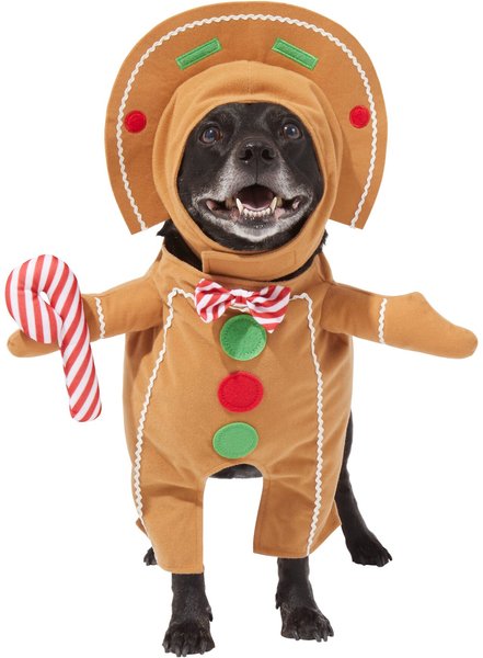 Frisco Front Walking Gingerbread Dog & Cat Costume, Medium slide 1 of 9