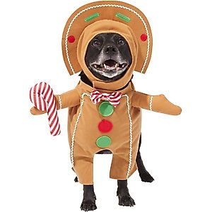 Frisco Front Walking Gingerbread Dog & Cat Costume, Large