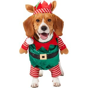 Frisco Front Walking Elf Dog & Cat Costume, Large