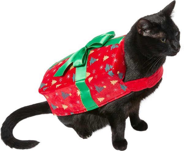 Frisco Holiday Giftbox Dog & Cat Costume, X-Small slide 1 of 7