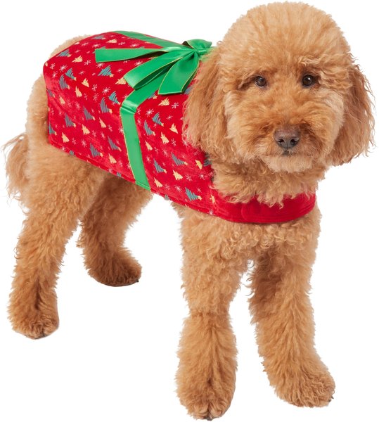 Frisco Holiday Giftbox Dog & Cat Costume, XX-Large slide 1 of 6