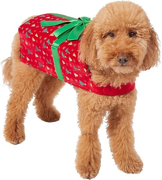 Frisco Holiday Giftbox Dog & Cat Costume, XXX-Large slide 1 of 6