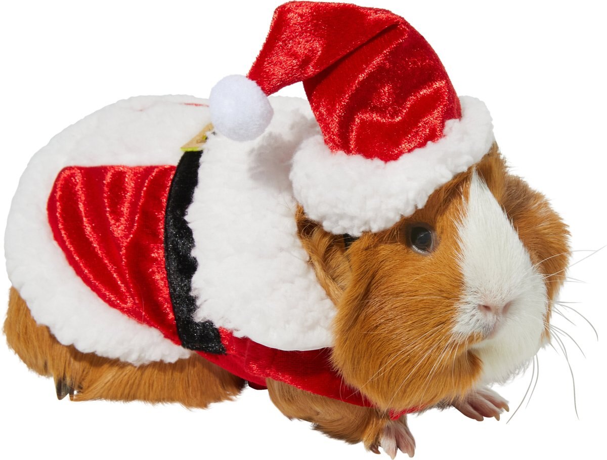 Guinea Pig Santa Small Pet Animal Holiday Christmas Costume Clothes Cute Funny 