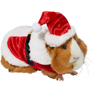 Frisco Santa Claus Guinea Pig Costume, Red