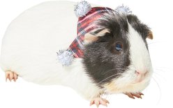 Frisco Red Plaid Guinea Pig Ruffle Collar with Pom Poms, Multi Color slide 1 of 5