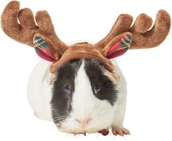 Frisco Holiday Antlers Guinea Pig Headpiece, Brown