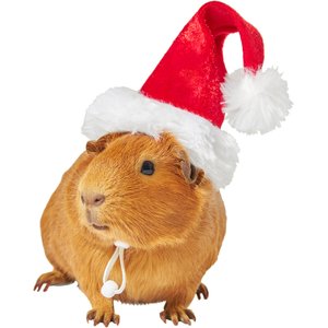 Frisco Holiday Guinea Pig Santa Hat