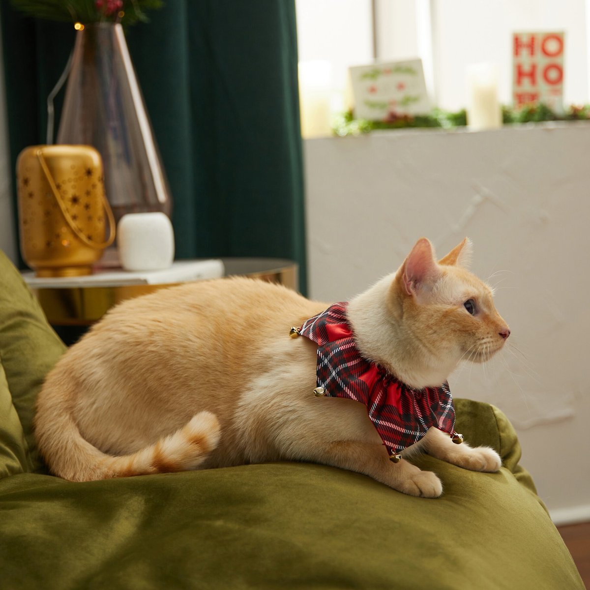 FRISCO Red Plaid Cat Ruffle Collar with Bells, One Size