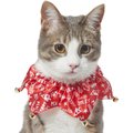 Frisco Merry Print Cat Ruffle Collar with Bells, One Size