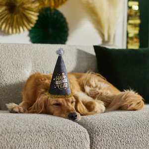 Frisco Happy New Year Dog & Cat Hat, X-Small/Small