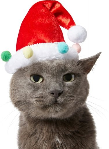 Frisco Holiday Poms Dog & Cat Santa Hat, X-Small/Small