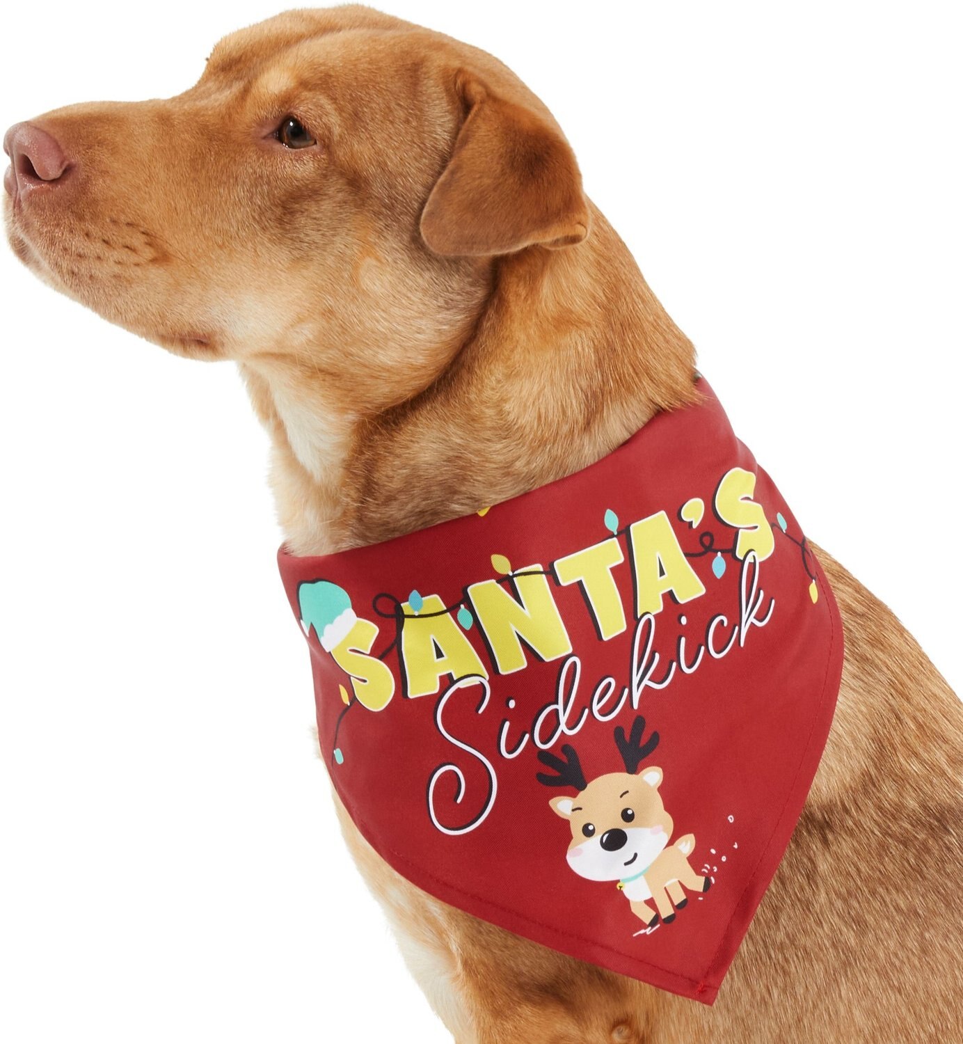Frisco Santa's Sidekick Dog & Cat Bandana