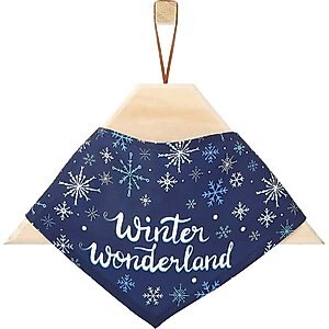 Frisco Winter Wonderland Dog & Cat Bandana, Medium/Large