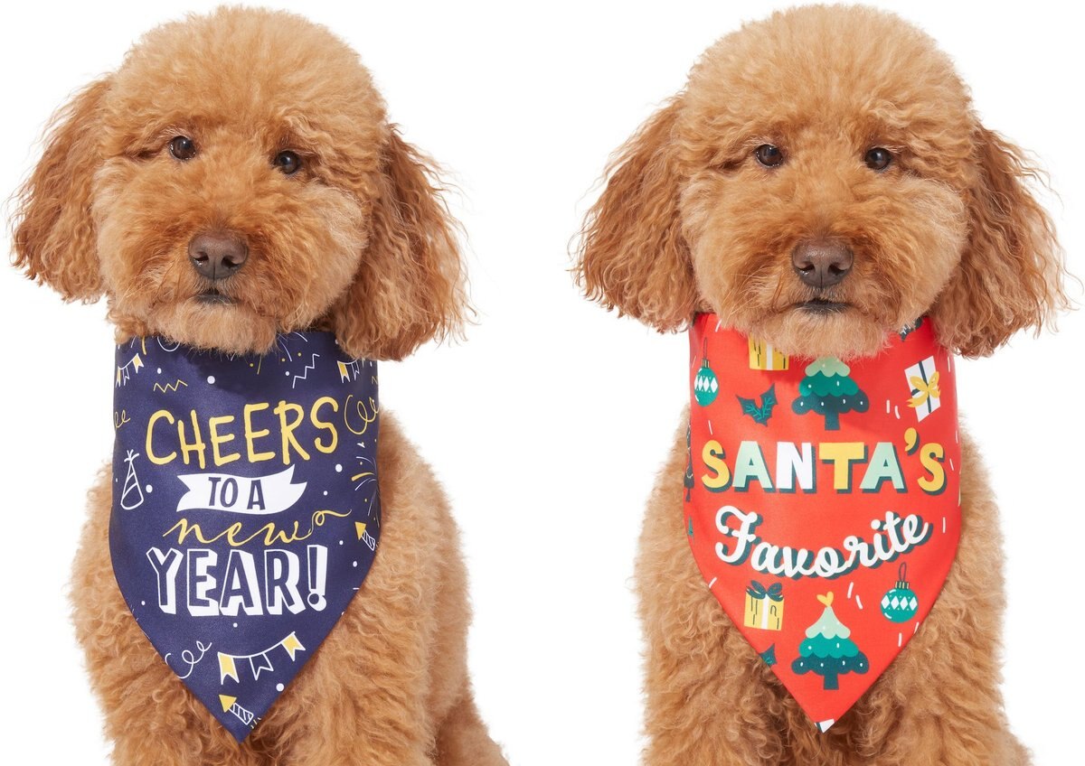 Frisco Holly Jolly Reversible Dog & Cat Bandana