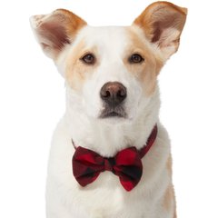 Frisco Red Buffalo Plaid Dog & Cat Bow Tie, Medium/Large