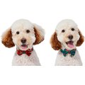 Frisco Festive Dog & Cat Bow Tie, 2 Pack, Medium/Large
