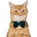Frisco Green Velvet Dog & Cat Bow Tie, X-Small/Small