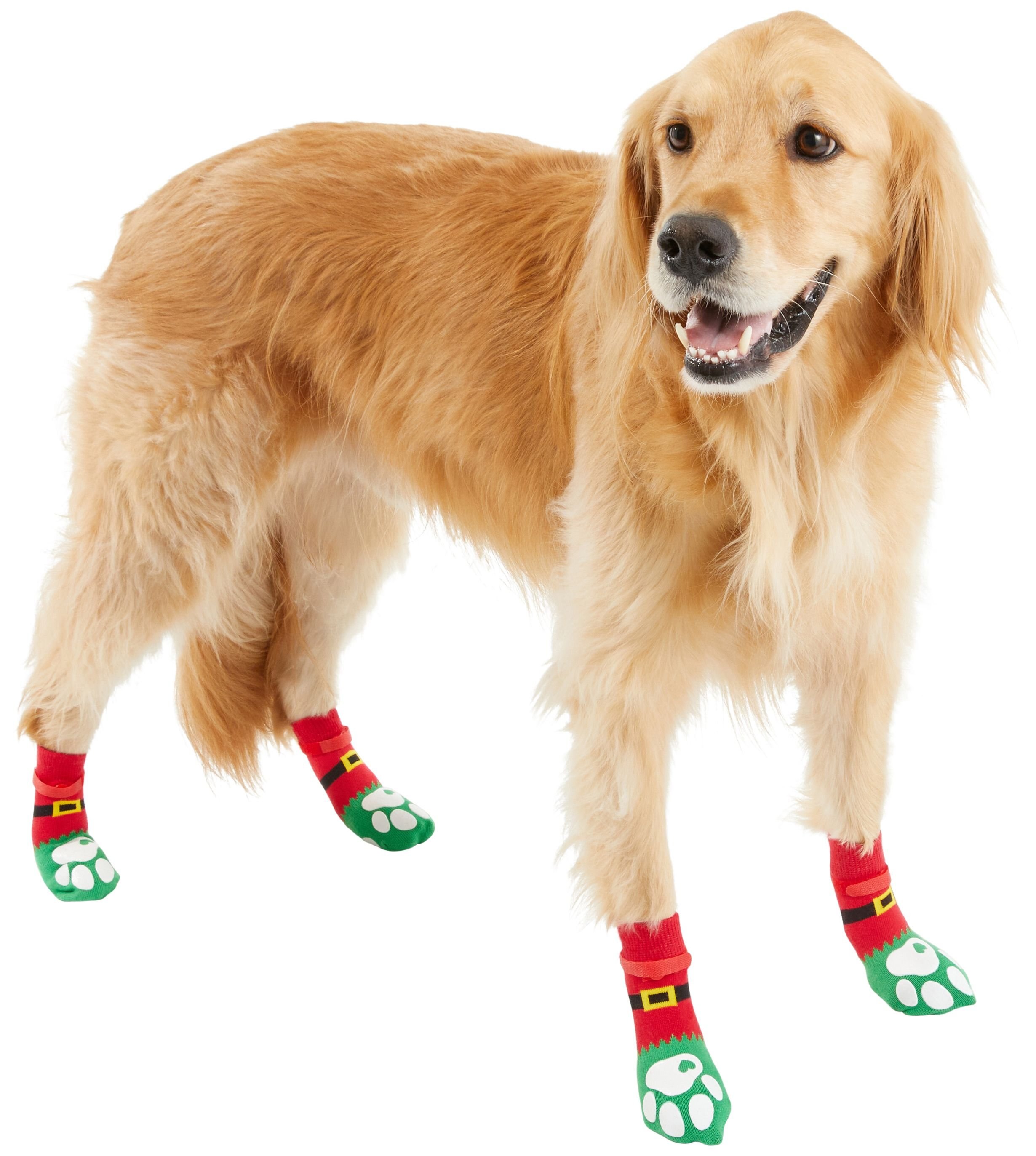 FRISCO NonSkid Elf Dog Socks Customer Questions