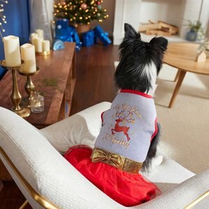 Frisco 'Tis the Season to Sparkle Dog & Cat Dress, XX-Large