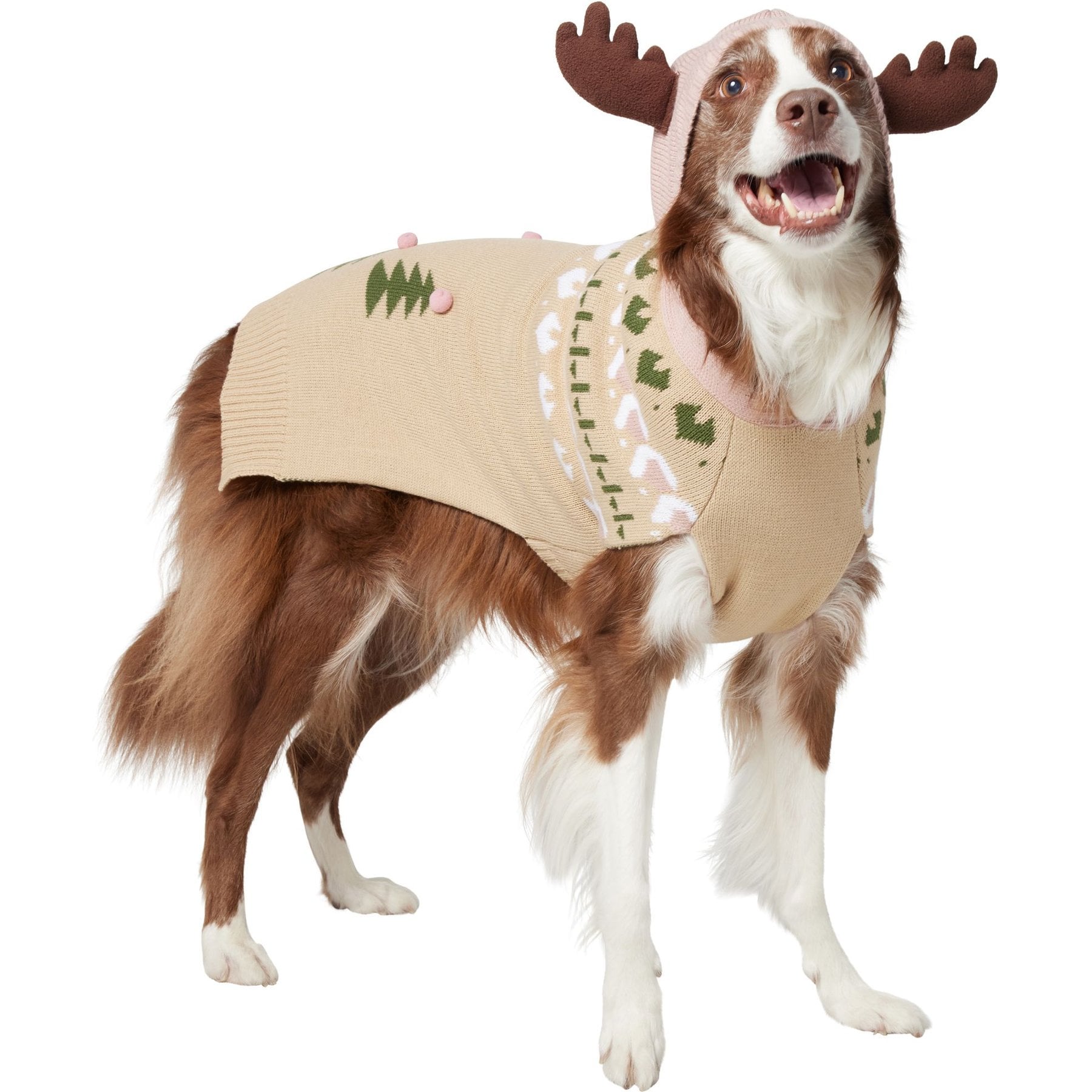 Frisco Nordic Fair Isle Dog & Cat Hooded Sweater, XX-Large