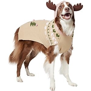 Frisco Nordic Fair Isle Dog & Cat Hooded Sweater, XX-Large