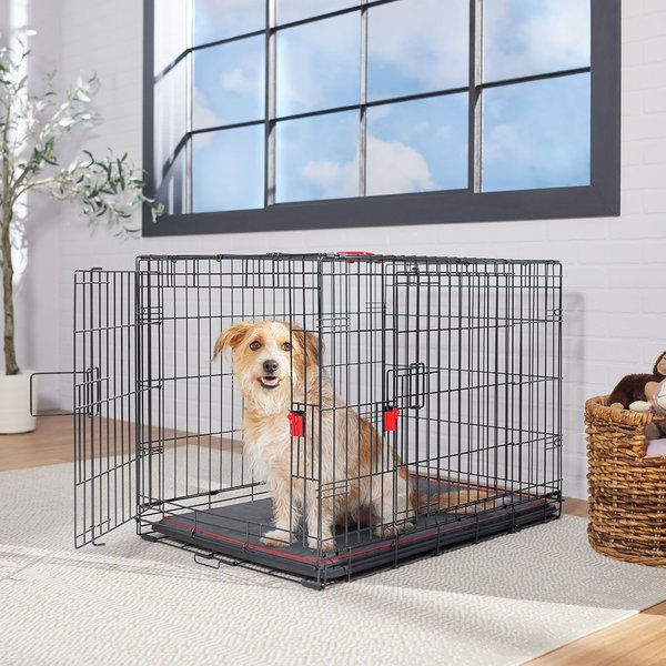 Frisco Heavy Duty Enhanced Lock Double Door Fold & Carry Wire Dog Crate & Mat Kit, Red, Med/L: 36-in L x 25.5-in W x 26.5-in H slide 1 of 9