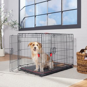 Frisco Heavy Duty Enhanced Lock Double Door Fold & Carry Wire Dog Crate & Mat Kit, Red, Med/L: 36-in L x 25.5-in W x 26.5-in H