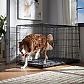 Frisco Heavy Duty Enhanced Lock Double Door Fold & Carry Wire Dog Crate & Mat Kit, Red, XL: 48-in L x 30-in W x 32-in H