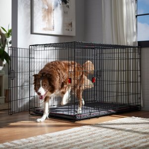 Frisco Heavy Duty Enhanced Lock Double Door Fold & Carry Wire Dog Crate & Mat Kit, Red, 48 inch