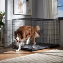 Frisco Heavy Duty Enhanced Lock Double Door Fold & Carry Wire Dog Crate & Mat Kit, Red, XL: 48-in L x 30-in W x 32-in H