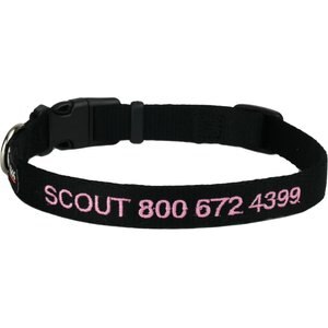 GoTags Small Font Personalized Dog Collar, Black, Small