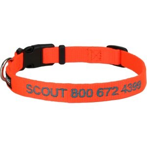 GoTags Small Font Personalized Dog Collar, Orange, Small