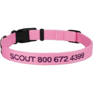 GoTags Small Font Personalized Dog Collar, Pink, Small