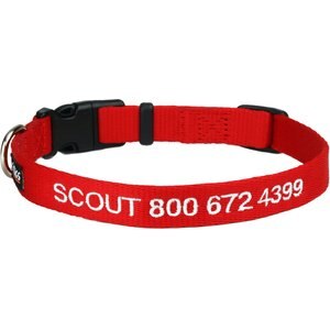 GoTags Small Font Personalized Dog Collar, Red, Small