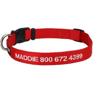 GoTags Small Font Personalized Dog Collar, Red, Medium