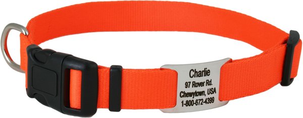 GoTags Adjustable Nameplate Personalized Dog Collar, Orange, Medium slide 1 of 5