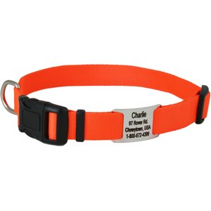 GoTags Adjustable Nameplate Personalized Dog Collar, Orange, Large