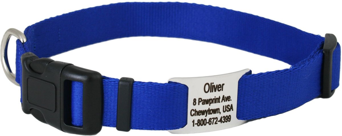 Plastic dog collars 2024 with name plates