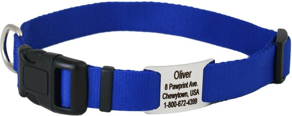GoTags Adjustable Nameplate Personalized Dog Collar, Blue, Large slide 1 of 5