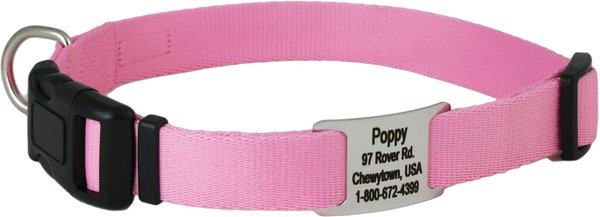 GoTags Adjustable Nameplate Personalized Dog Collar, Pink, Small slide 1 of 5