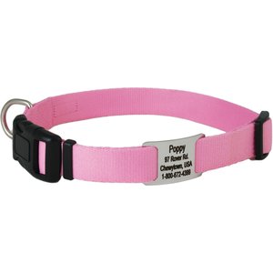 GoTags Adjustable Nameplate Personalized Dog Collar, Pink, Small