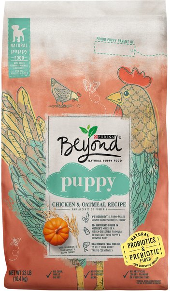 Purina Beyond Natural, High Protein Chicken & Oatmeal Recipe Dry Puppy Food, 23-lb bag slide 1 of 8