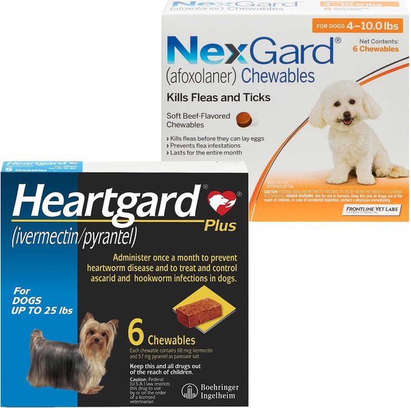 Heartgard Plus Chew for Dogs, up to 25 lbs, (Blue Box), 6 Chews (6-mos. supply) & NexGard Chew for Dogs, 4-10 lbs, (Orange Box), 6 Chews (6-mos. supply) slide 1 of 7